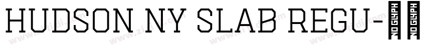 Hudson NY Slab Regu字体转换